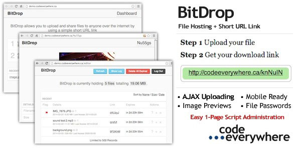 227 Bitdrop File Hosting With Short Url Link