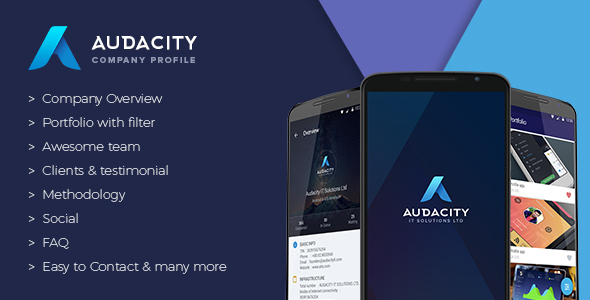 660 Audacity Your Company Profile App Google Analytics